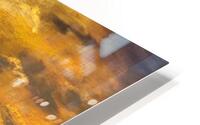 IX HD Metal print