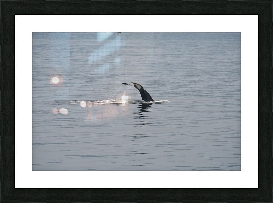 Grande bleue Picture Frame print