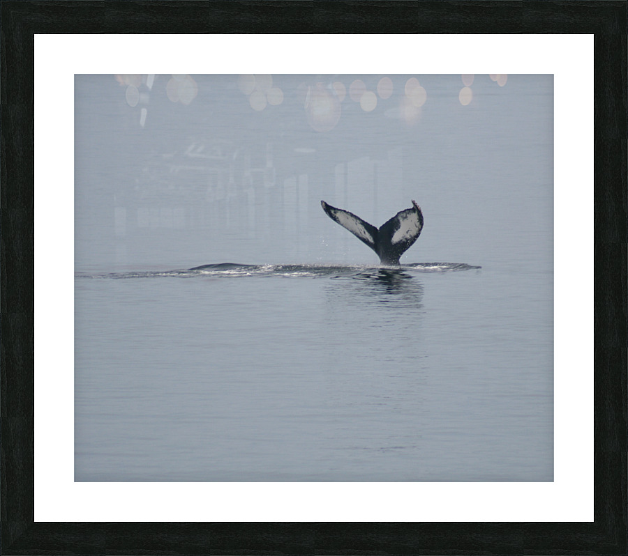 Baleine_2 Picture Frame print