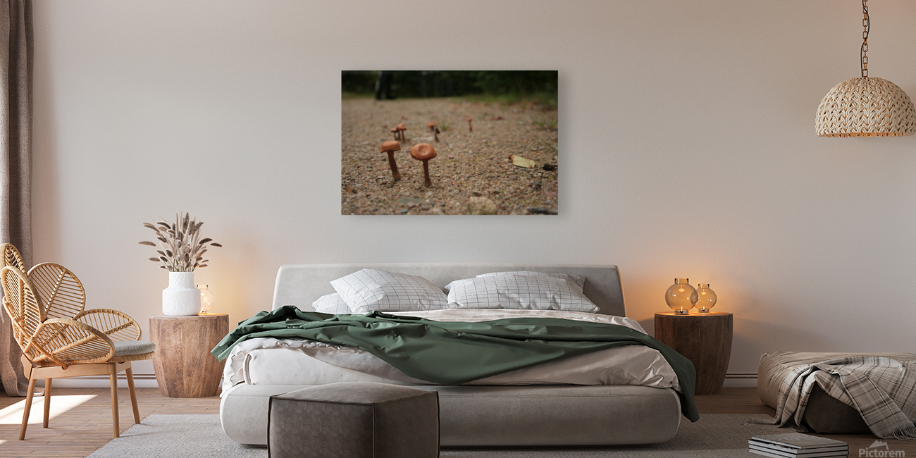 Mushrooms Reproduction