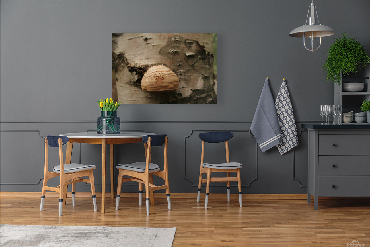 Mushrooms Reproduction