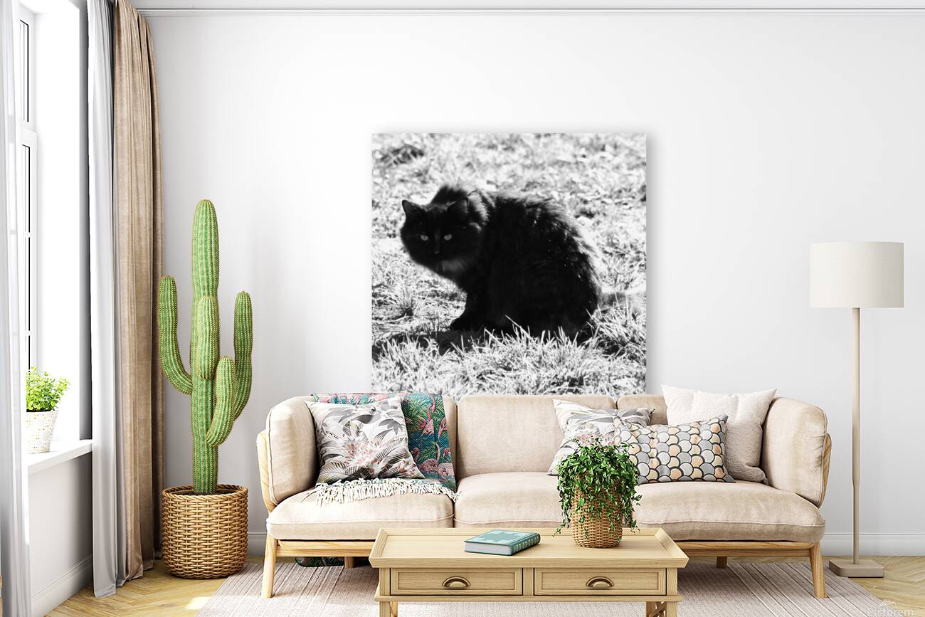 Katt-2 Reproduction