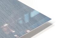 Baleine_5 HD Metal print