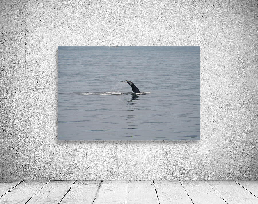 Grande bleue Wall Preview