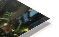 Dream Drops  HD Metal print