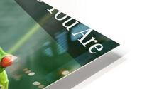 Show Off HD Metal print