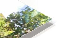 Flower in the Rough HD Metal print