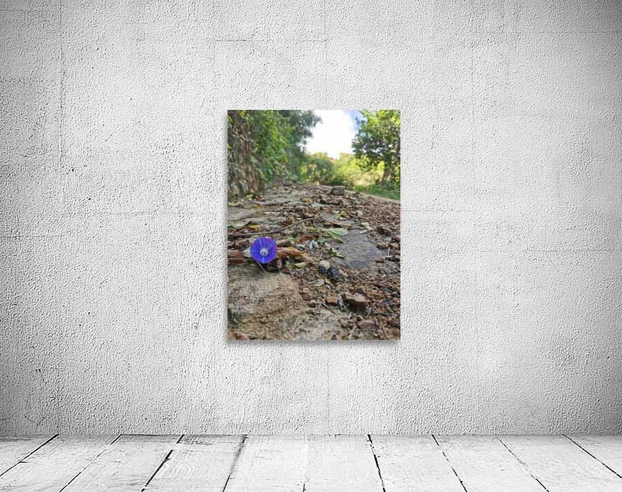 Flower in the Rough Wall Preview