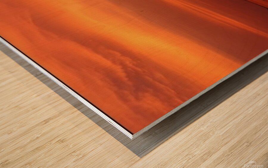 Just The Two Of Us Wood print