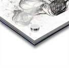 figure 11 Acrylic print