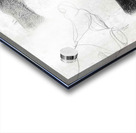Figure 33 Feet Acrylic print