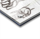 Hand Study 2 Acrylic print
