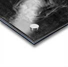 figure 18 Acrylic print