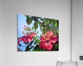 artifact5 Acrylic Print