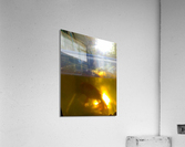 artifact4 Acrylic Print