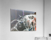 artifact3Perfectinvert Acrylic Print