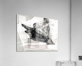 figure 11B Acrylic Print