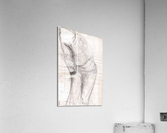 Peer 2 Acrylic Print