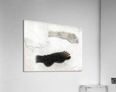 Figure 33 Feet Acrylic Print