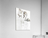 Hand Study 2 Acrylic Print