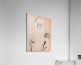 Hands Study 4 Acrylic Print