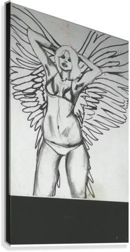 angel figure 8 Canvas Print
