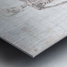 SkeletonGrid Metal print