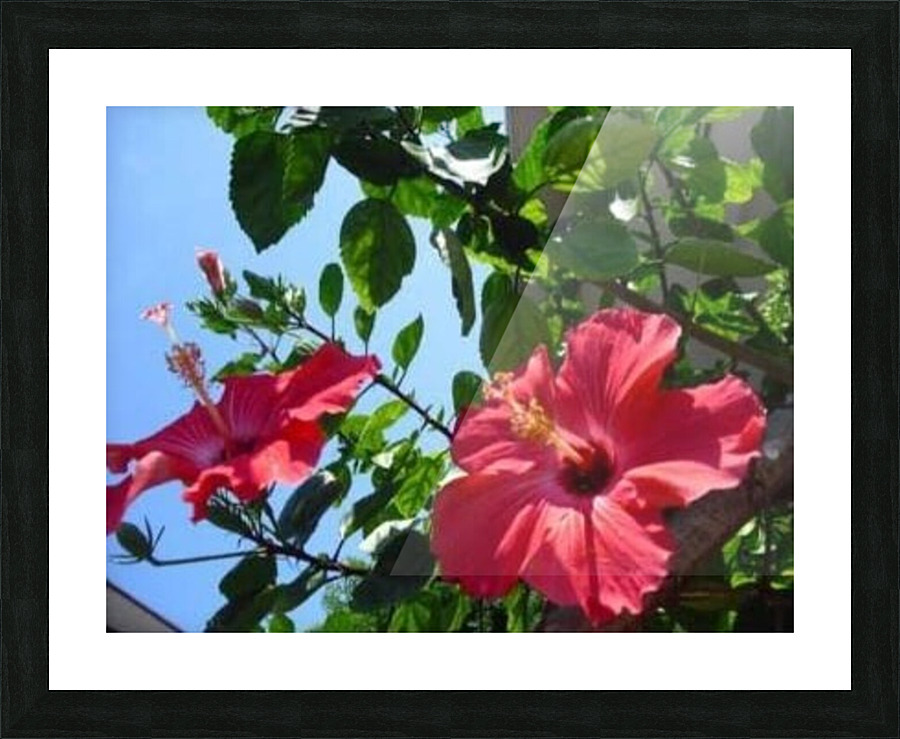 artifact5 Picture Frame print