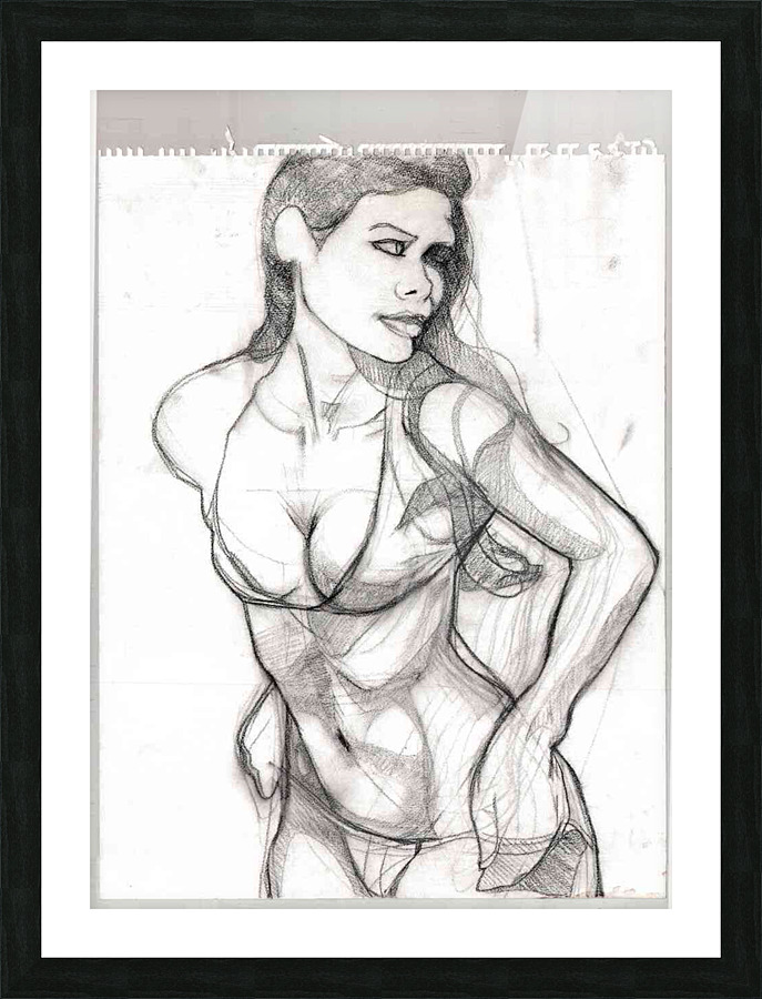 figure 9 Picture Frame print