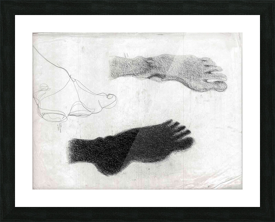 Figure 33 Feet Picture Frame print