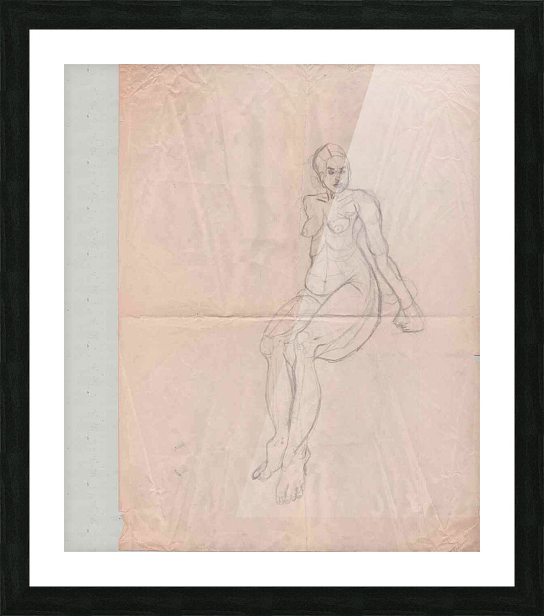 figure 19 Picture Frame print