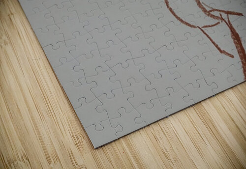 IMG 0899 Lauren V puzzle