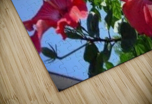 artifact5 Lauren V puzzle