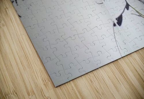 artifact14 Lauren V puzzle