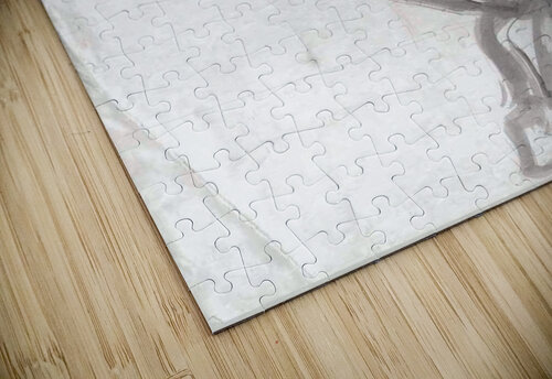figure 6 Lauren V puzzle