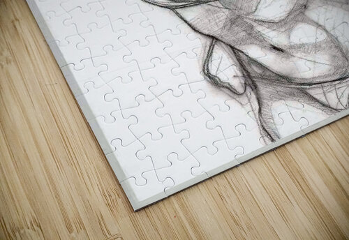 figure 9 Lauren V puzzle