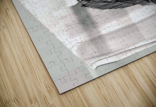 figure 11B Lauren V puzzle