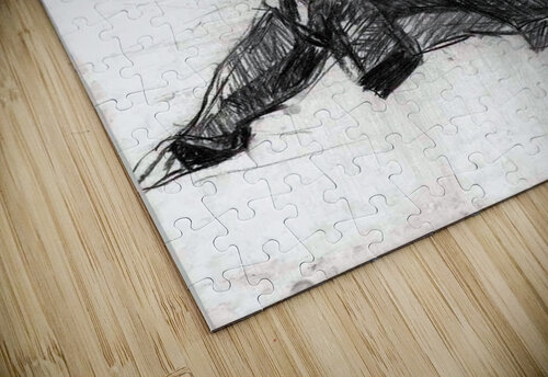 figure 11 Lauren V puzzle