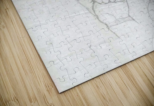 Hand Study 2 Lauren V puzzle