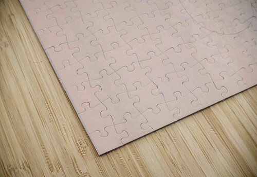 Spade Lauren V puzzle