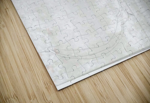 figure 17 Lauren V puzzle