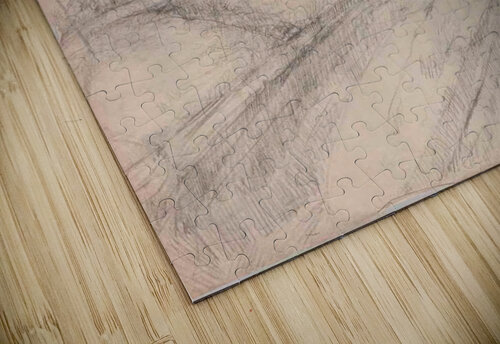 ChileanStreet Lauren V puzzle