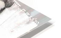 figure 9 HD Metal print