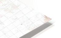 SkeletonGrid HD Metal print
