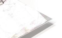 RosesinBottle HD Metal print