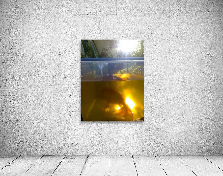 artifact4 Wall Preview