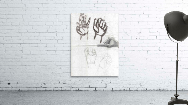 Hand Study 2 Wall Preview