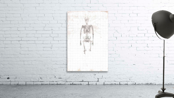 SkeletonGrid Wall Preview