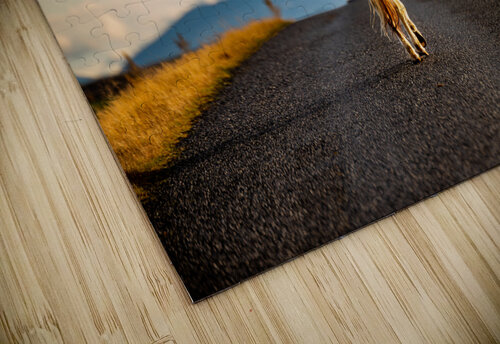 Icelandic Horse Jonathan Copenhaver puzzle