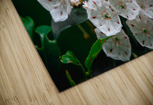 White Flowers Jonathan Copenhaver puzzle
